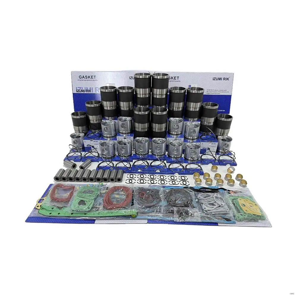 Heavy Duty Engine Parts IZUMI RIK D9512 Overhaul Rebuild Kit with Overhaul Kit for Liebherr