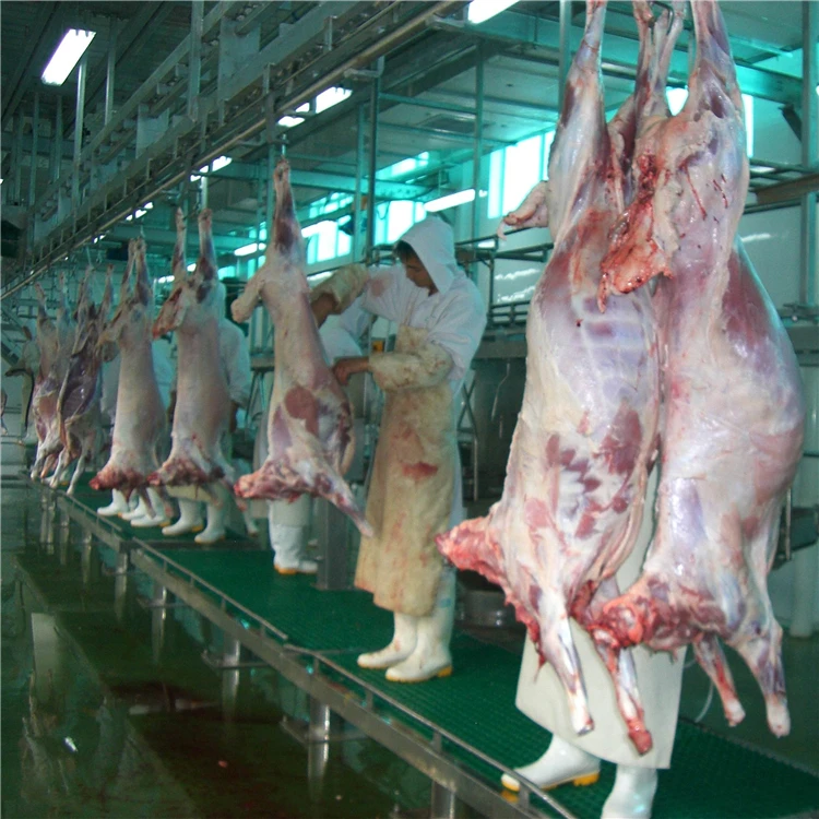 Pig Mother Slaughterhouse Automotive Pig Offal Quarantine Equipment