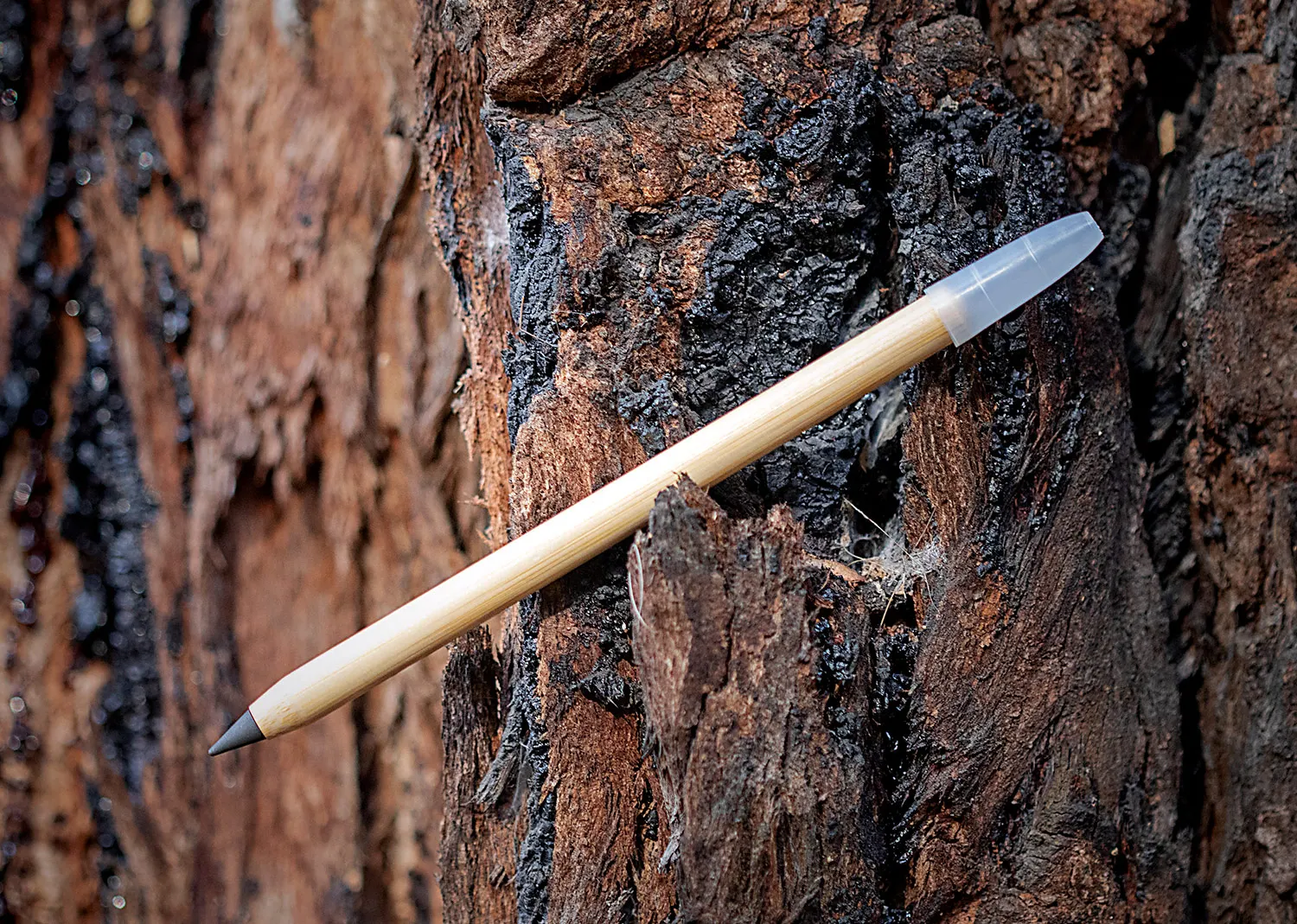 Customized logo eco friendly bamboo wood infinity inkless pen and pencil for students with cap and eraser