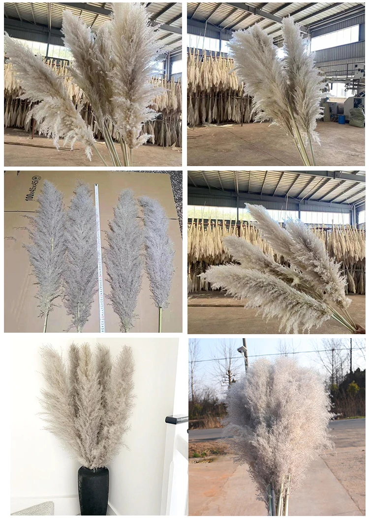 product hot sell large artificial silk natural dried pampas grass white dried long natural flower small fluffy pampas grass bouquet-58