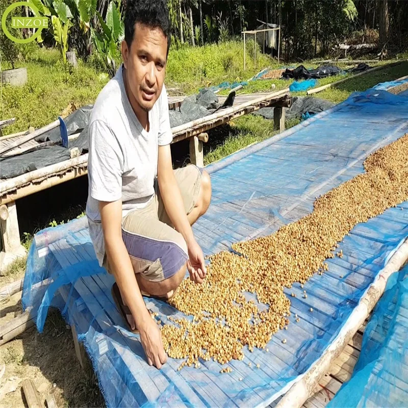 16 Mesh Blue Nylon Net for Agriculture