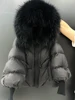 Black Black Raccoon
