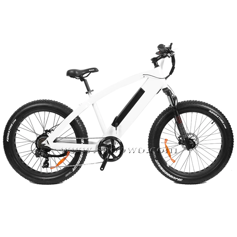 750w fat tire electric bike