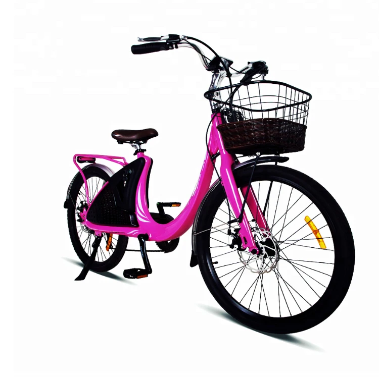 Shop Our Hot Sale 36v Electric Bike 500w LARK 26 for 2024