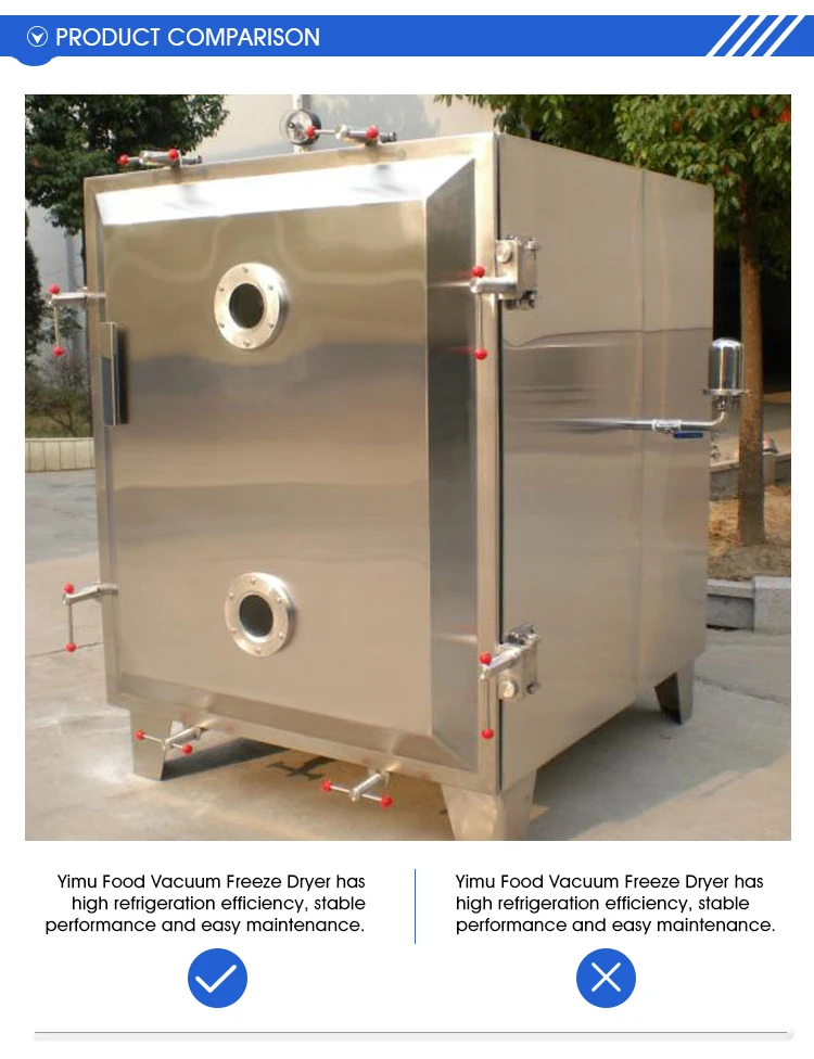 Commercial Lyophilization Homemade Food Freeze Dryer Commercial Vacuum
