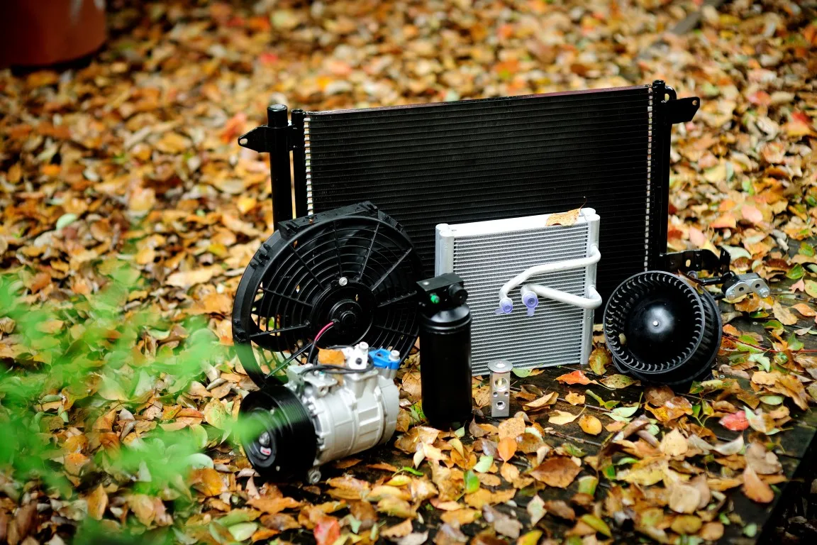 12v 10s17c Densu Auto Ac Compressor Clutch Coils Buy 10s17c