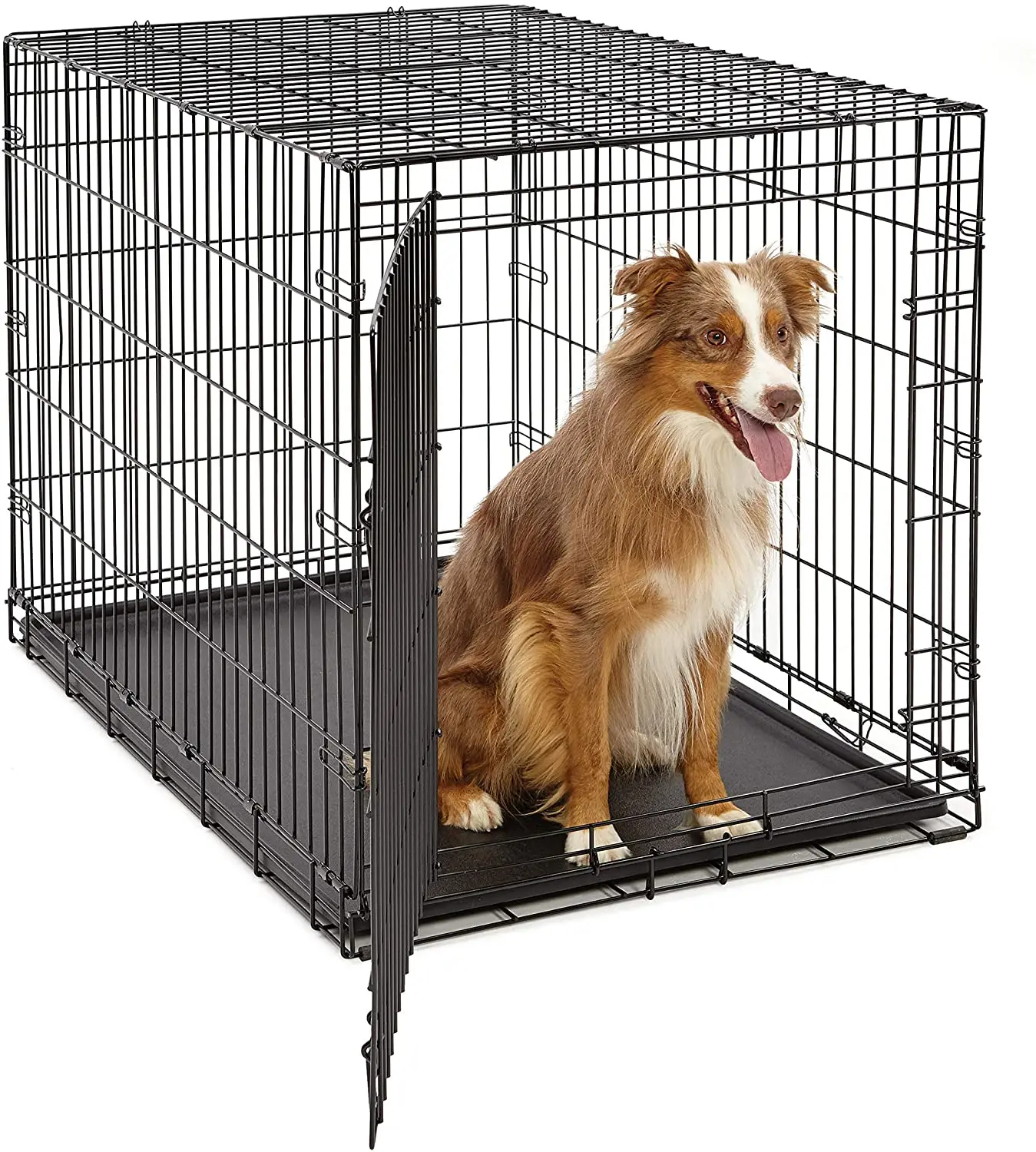 36x22x24 shop dog crate