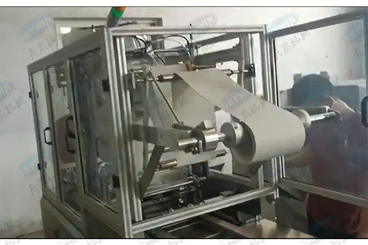 Skywin Automatic Feeding Biscuit X Fold Packing Machine