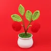 (type d) "ping" anxi le potted plant
