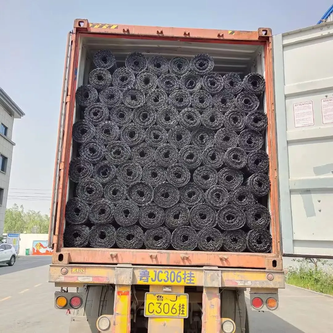 Factory Low Price High Tensile Strength PP Biaxial Geogrid for Road Construction and Other Project