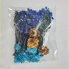 06 bleu foncé
