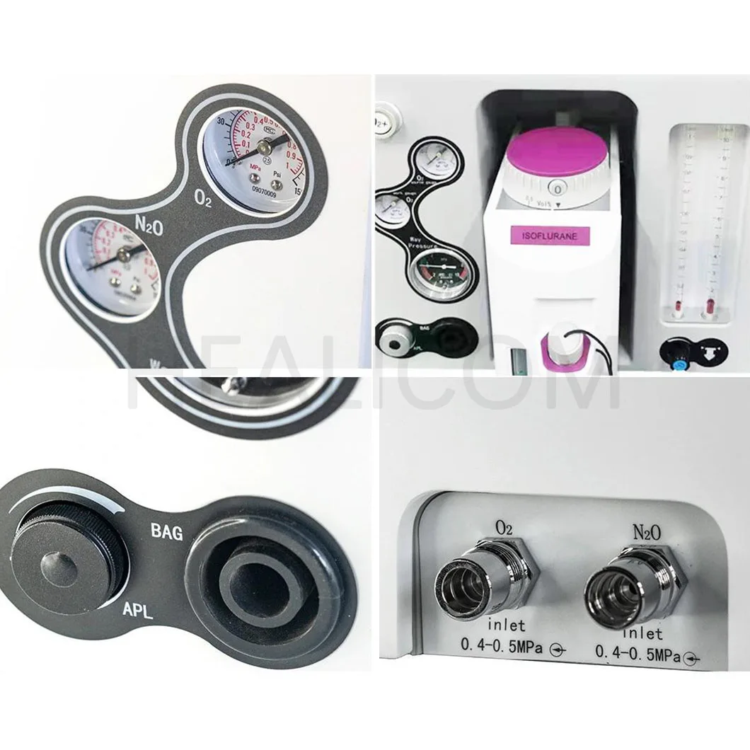 HEALICOM Medical Լավագույն Գին Օգտագործել Վետերինար և Անձրեւության Anestesia Mquinas Anestetic Machine