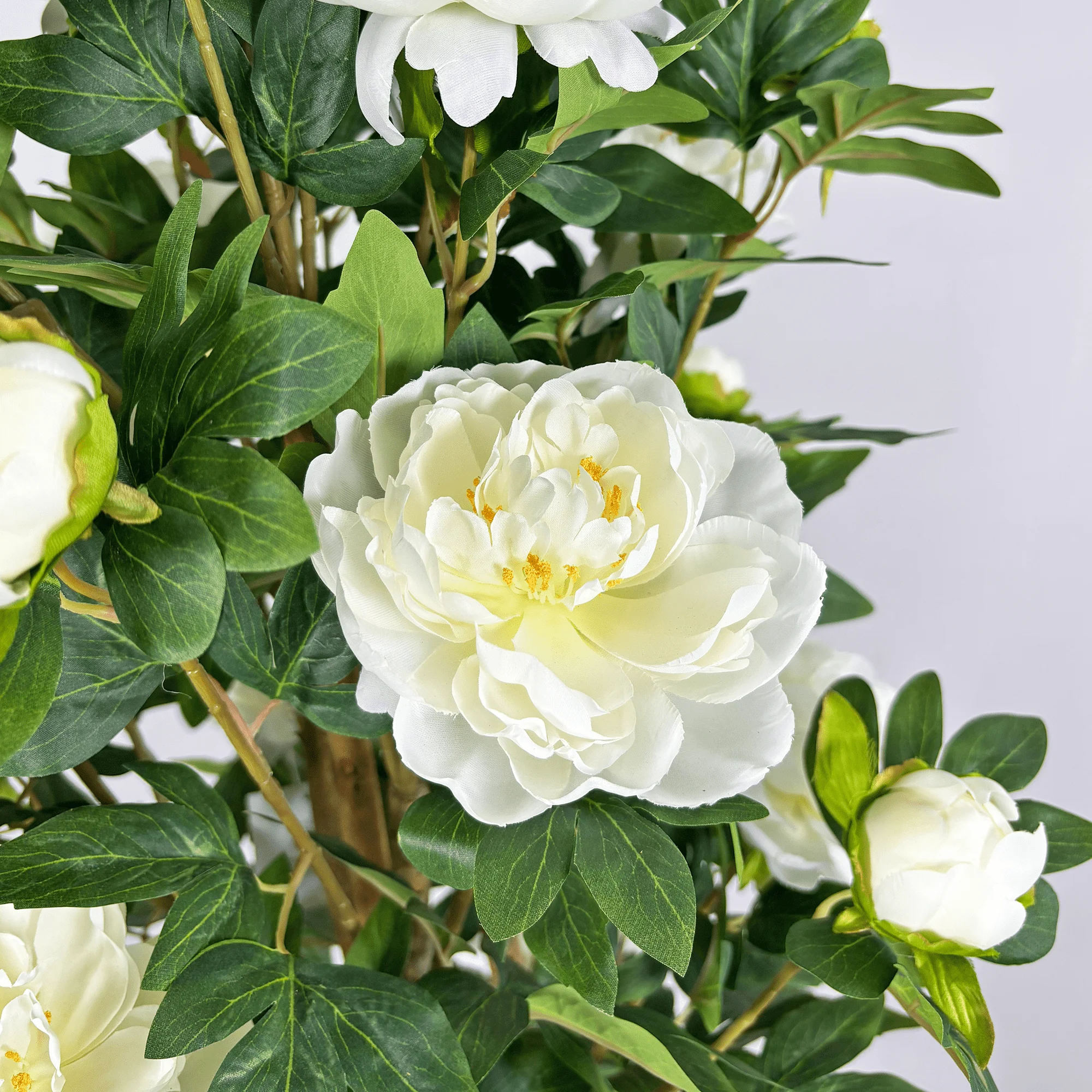 细节图1