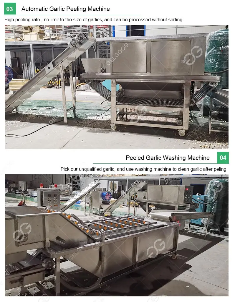 Gelgoog Garlic Splitting Machine Peeled Garlic Peeling Machine With
