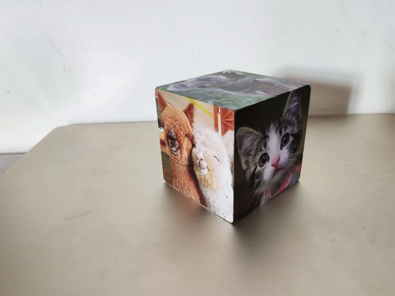 库存快速出货木版图片照片立方体可爱动物家居装饰纪念品