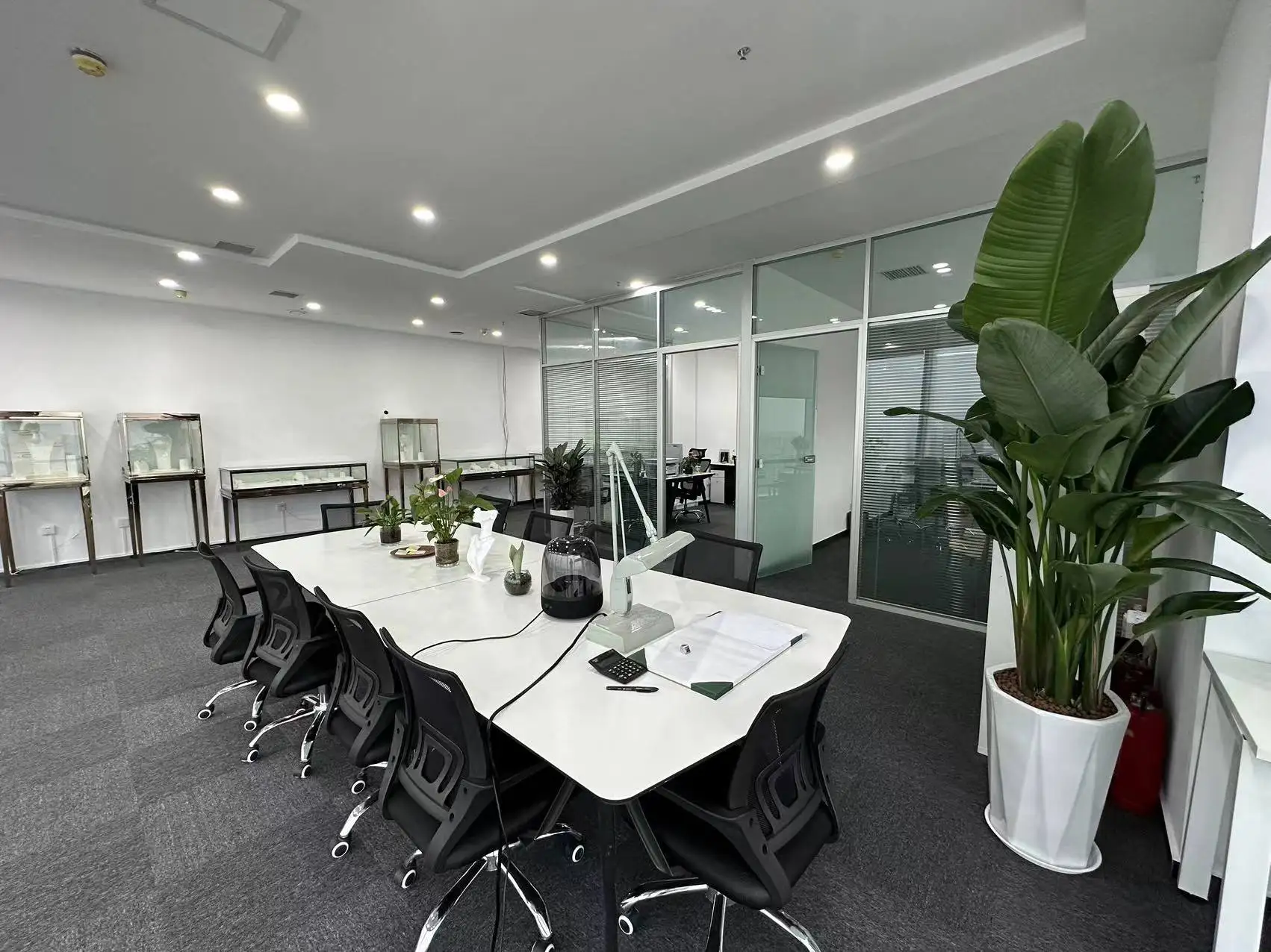 Henan Qishi Technology Co., Ltd. 1