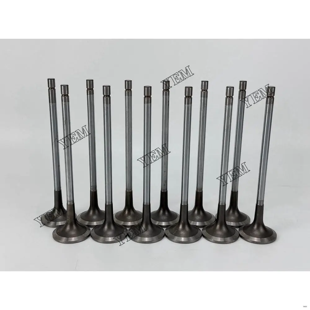 QSK60 Engine Intake Valve for Engine Parts