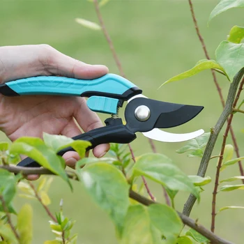 Stainless Steel Hand-Held Plastic Handle Fruit Pruning & DIY Grafting Pruner