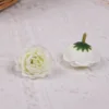 Une fleur blanche
