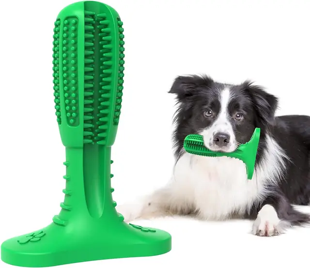 Dog Chew Toys, Tough Durable Dog Toothbrush Toys, Outdoor Interactive Dog Toys Dogs Dental Care Teeth Cleaning Toy,