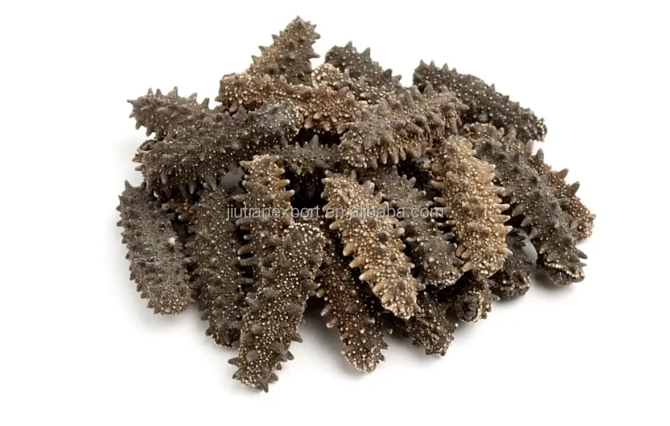 Dried Sea Cucumber With Beauty Benefitshigh Quality Lightly Dried Sea