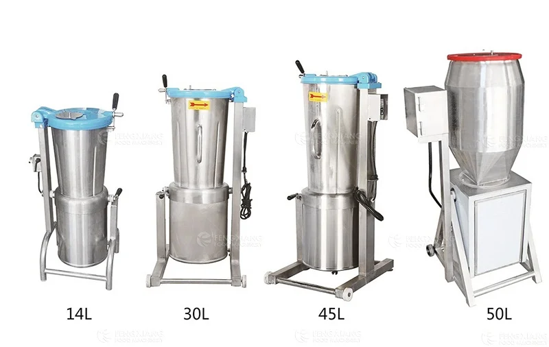 FC-310 Industrial Commercial Fruit Juicer Blender Juice Making