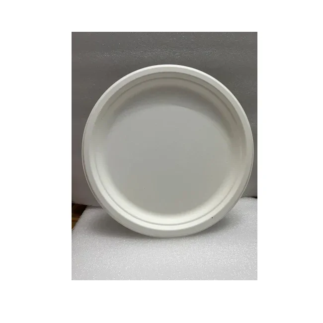 Recycle Biodegradable Bamboo Pulp Paper Mache Plate&Bowl Food Container Box Microwave Ovenable Office Paper Trays From India