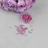 Rose red