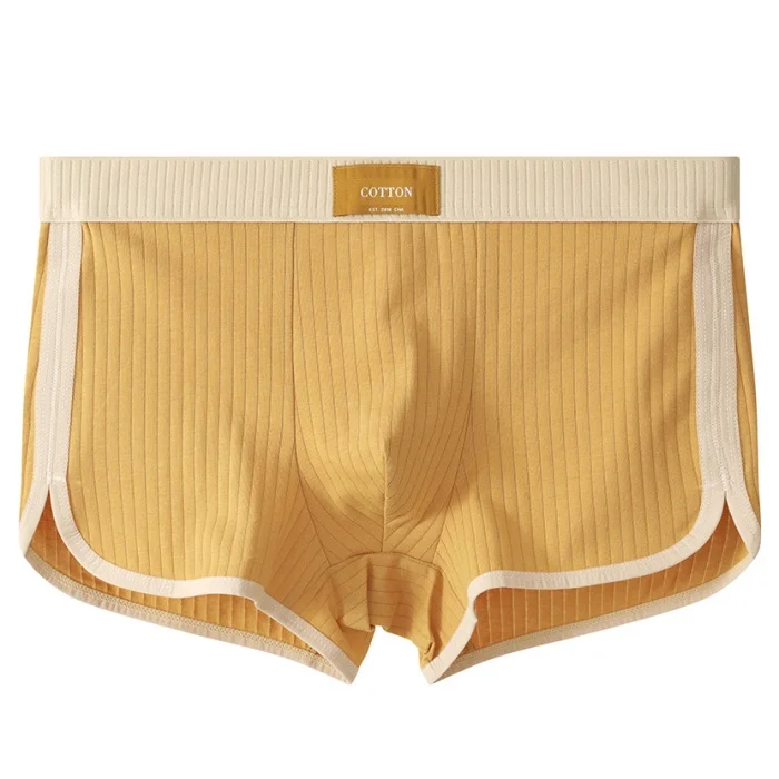 Men's Comfortable Breathable Boxer Briefs Underwear for Spring Summer Autumn Winter