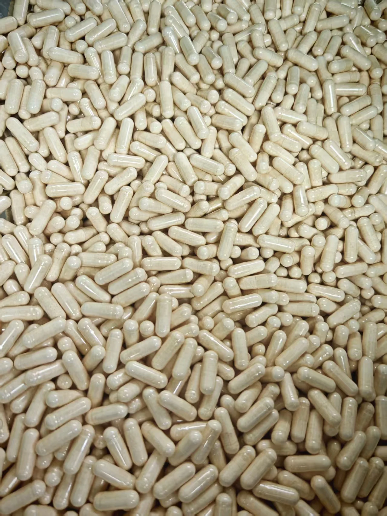 ODM OEM Chinese Herb Supplement Astragalus Root Extract Powder Capsules  Organic Astragalus Capsules for Immune \u0026 Health, image size:1279x1706