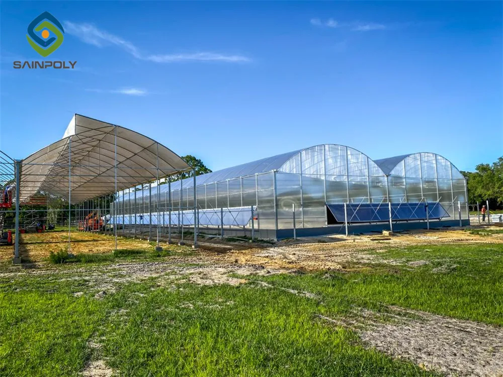 In Stock Large Greenhouse for Agricultural Tomato Hydroponics Turnkey Projects Made of Steel Poly with PC Sheet Cover for Sale