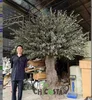 300CM