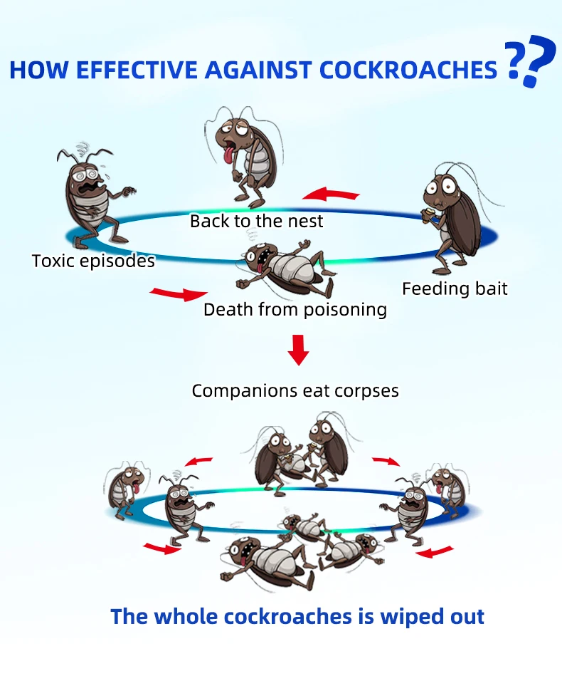 Cockroach bait small05.jpg