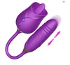 Viola