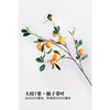 Extra Large Branch Seven-Fruit Orange