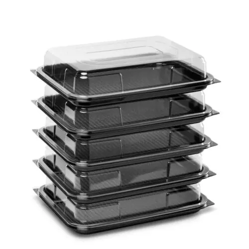 10X Large Black PP Biodegradable Disposable Sandwich Box
