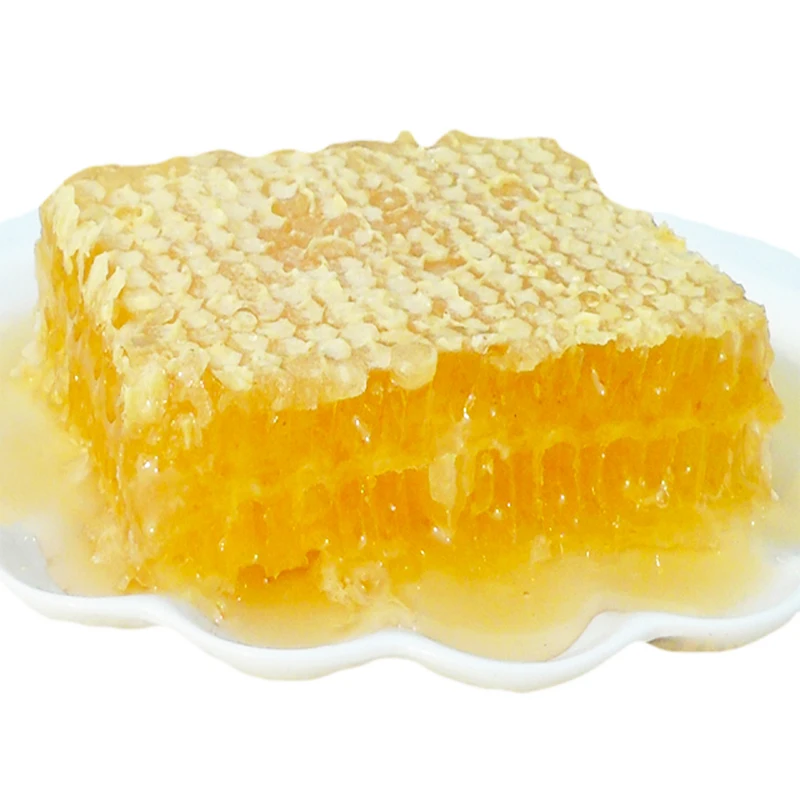 42,5 x 21 cm Base dapiculture en plastique 5PCS miel de peigne dabeille fournit léquipement de ruche 