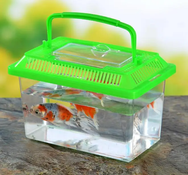 réservoir de poissons rouges en plastique portable clair, petit