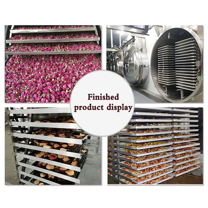 TCA Automatic Coffee Lyophilizer Vegetable Food Vacuum Freeze Dryer Production Line