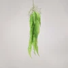Verde 17#