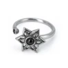 plata1