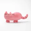 Chaton rose