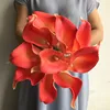 Orange red