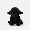 Black lamb