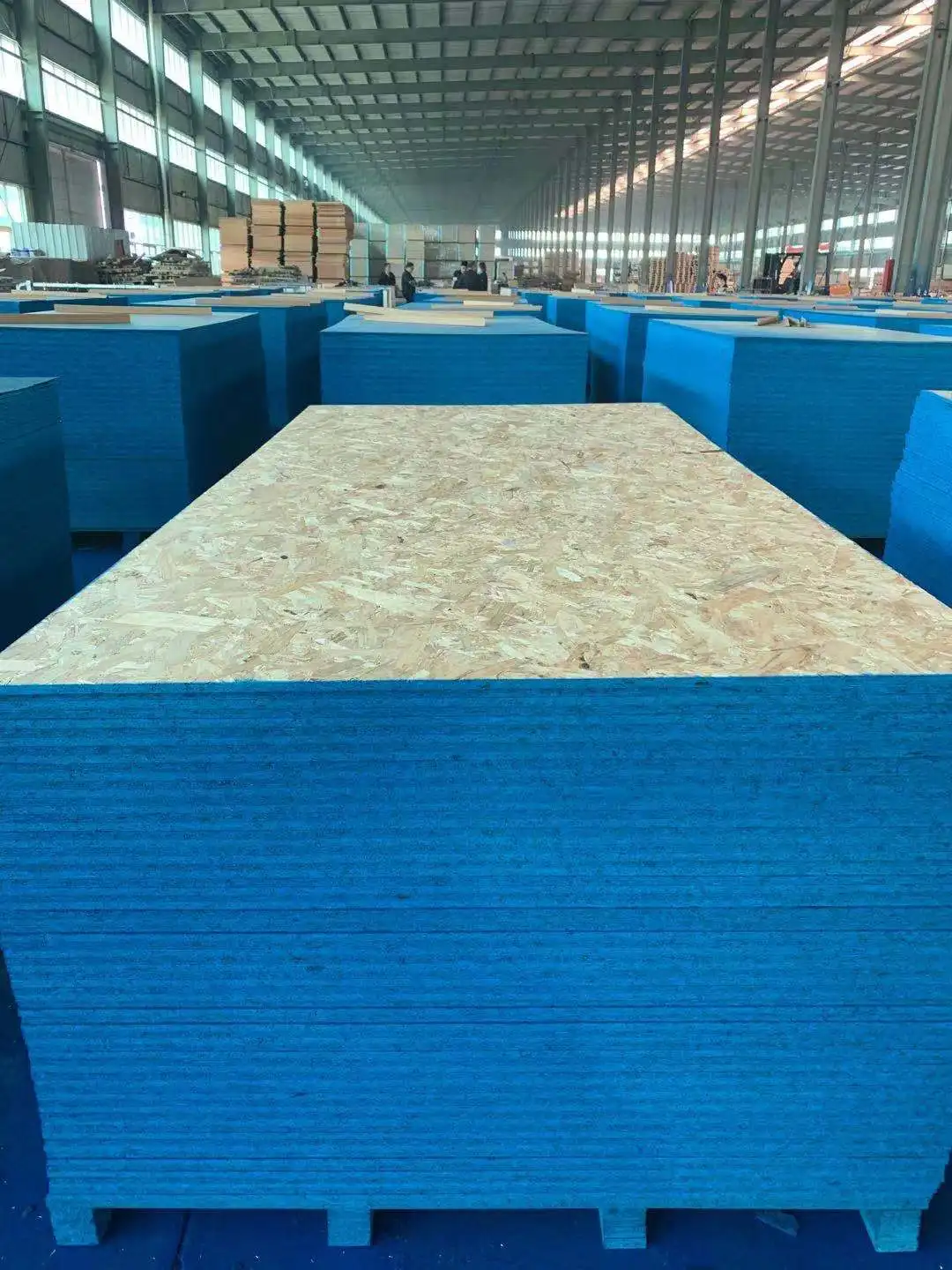OSB with edge painted7