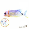 14. Poisson arc-en-ciel