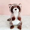 Mapache