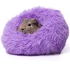 Pourpre
