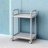 Light Gray