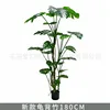 Monstera deliciosa de la selva tropical, 180 cm (viene con base negra)